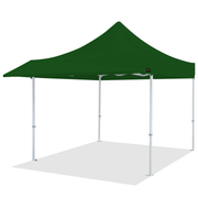 Pro Series 10x10 Awning Canopy