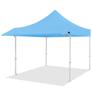 Pro Series 10x10 Awning Canopy