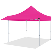 Pro Series 10x10 Awning Canopy