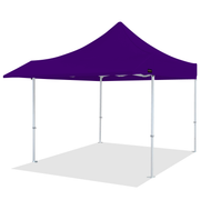 Pro Series 10x10 Awning Canopy