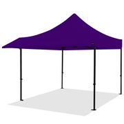 Pro Series 10x10 Awning Canopy