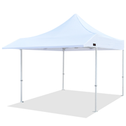 Pro Series 10x10 Awning Canopy