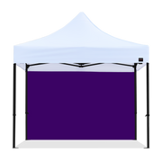 10ft Canopy Solid Wall