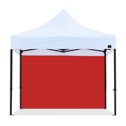 10ft Canopy Solid Wall