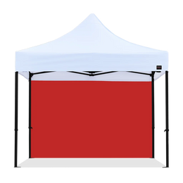 10ft Canopy Solid Wall