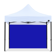 10ft Canopy Solid Wall