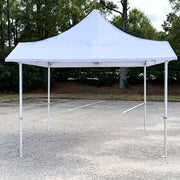Pro Series 10x10 Awning Canopy