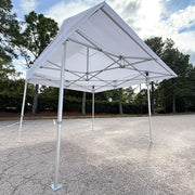 Pro Series 10x10 Awning Canopy