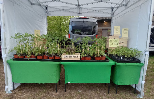 Rocket Canopy Pro Series tent set up at a farmers market with a produce display from Clear Sky Farm